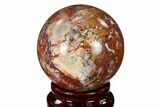 Colorful, Polished Petrified Palm Root Sphere - Indonesia #150129-1
